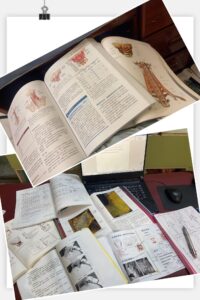Courses Services Research and Development